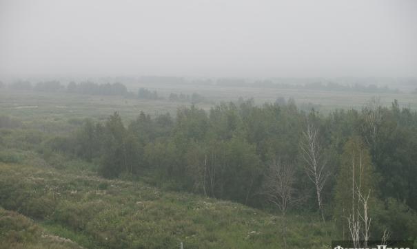 Погода