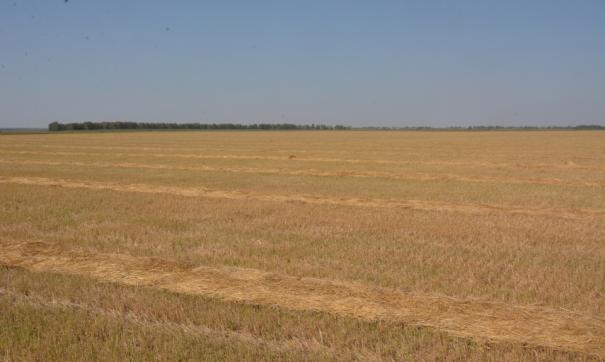 Фото: Минсельхоз Челябинской области