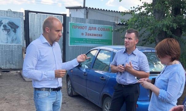 В приюте животных стерилизуют и содержат