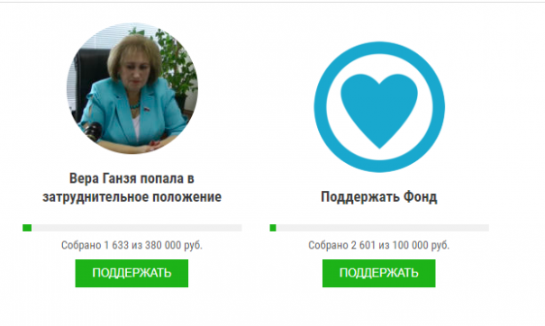 В Екатеринбурге объявили сбор средств для депутата, которая жаловалась на зарплату в 380 тысяч рублей