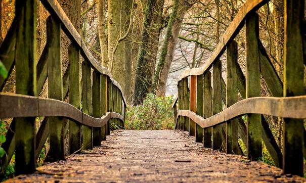 Фото: pixabay.com