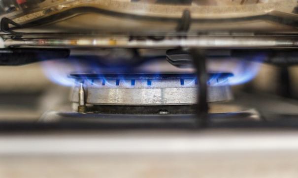 Часть нижегородцев поддерживает отказ от бытового газа в жилых домах