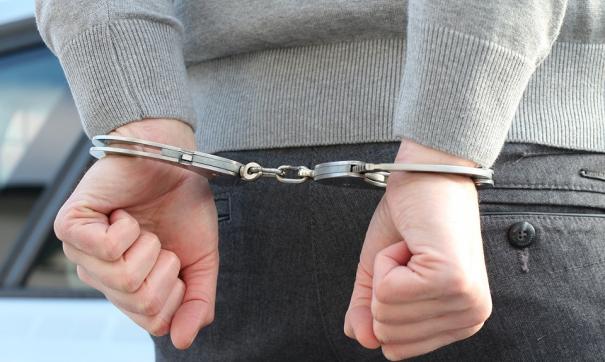 В Москве пройдет брифинг, на котором адвокат Рыбки и Лесли расскажет об их задержании и дальнейшей стратегии их защиты