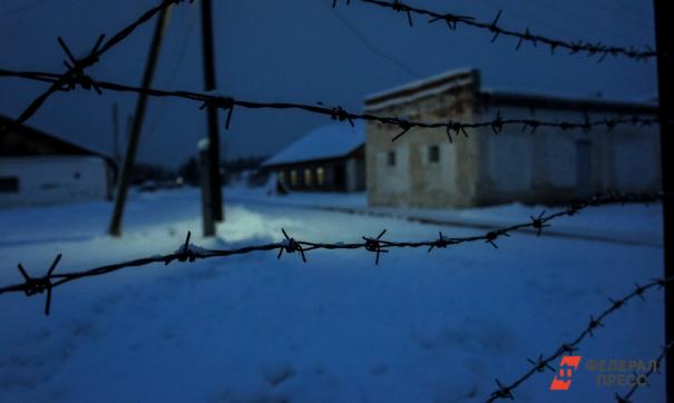 Колония