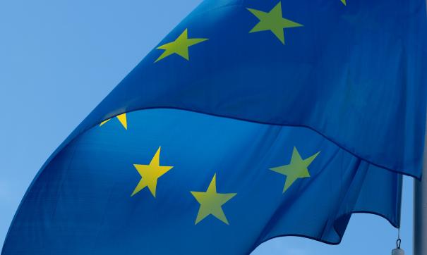 Пескова стажируется в Европарламенте как обычная студентка
