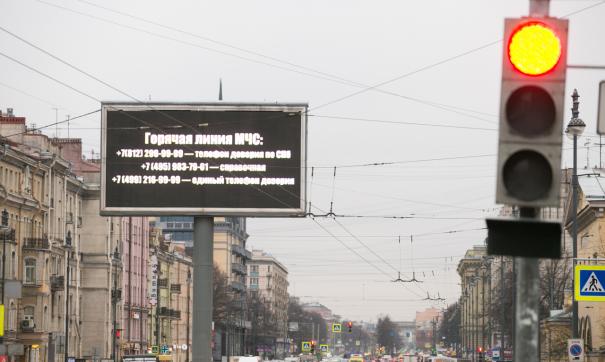Петербуржец ради славы намеревался совершить теракт
