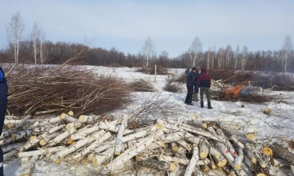 Строительство любого объекта на этом участке может оказать дополнительную нагрузку на единственный питьевой источник Челябинска