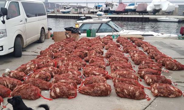 Приморские браконьеры пытались продать за рубеж тонну краба
