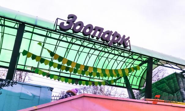 Новый зоопарк будет способен принять полмиллиона посетителей в год