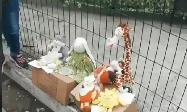 Детям из Владивостока пришлось продать свои игрушки, чтобы купить еды