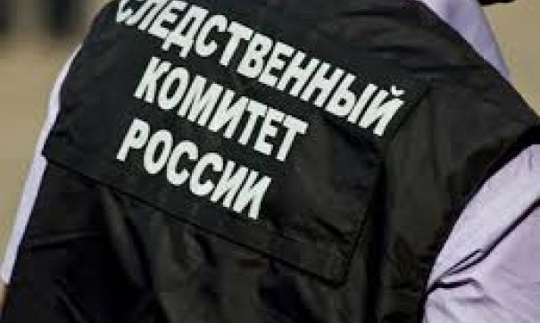 Выводы о причинах смерти ребенка сделают судмедэксперты