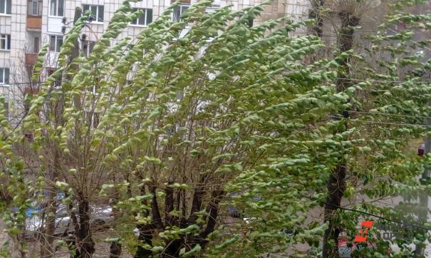 В МЧС России по ЯНАО призывают местных жителей быть осторожными в этот период.