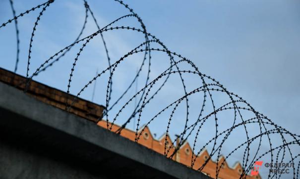 За похищение собственных детей в Америке калининградку поместили в изолятор