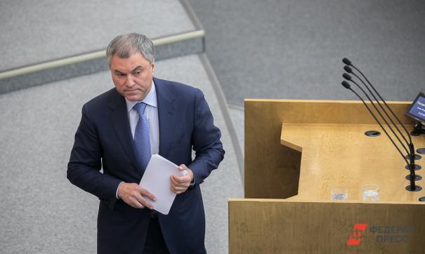 Володин поручил проанализировать применение «антинаркотической» статьи