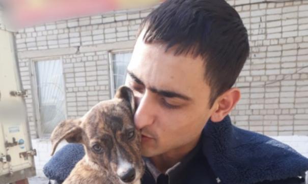 Приморские полицейские помогли бездомному щенку