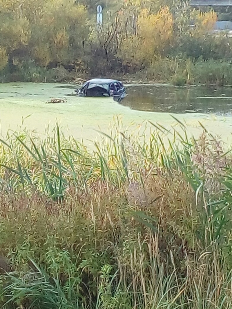 В Екатеринбурге автомобиль утонул в болоте вместе с водителем |  Свердловская область | ФедералПресс