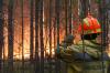 Выходные в ПФО будут жаркими: лесные пожары, грозы и штормовой ветер