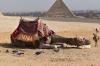 Отдых в Египте: какие ограничения ждут туристов