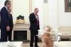 Японцы потребовали от Путина вернуть подаренного  ему щенка
