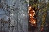 В Башкирии горит заповедный лес на горе Малый Ямантау