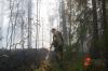 Больше 10 тысяч гектаров леса полыхают в Республике Коми: обнаружены новые очаги