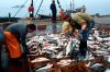 Россия отказалась от консультаций с Японией о морском промысле у Южных Курил