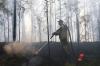Какие регионы охватят лесные пожары: прогноз Гидрометцентра России
