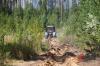 На Ямале прокуратура ищет вредителей: пострадал лес