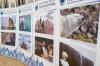 В Санкт-Петербурге стартовал Х Невский экологический конгресс