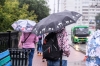 Ждать ли курганцам бабьего лета в сентябре: прогноз народного синоптика