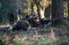 НАТО стягивает дополнительные силы к границам Украины