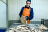 Какие последствия ждут Россию после запрета на импорт рыбы из Норвегии