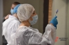 «Наводят панику»: медик высказался об опасности тридемии