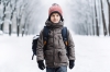 Морозы под –40 градусов оставили учеников в Коми без школы
