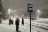 Вильфанд пообещал трем регионам «сибирские морозы»: «Вполне зимняя погода»