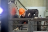 Безработица в Карелии достигла исторического минимума