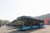 Полсотни новых троллейбусов выведут на улицы Новосибирска