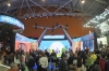 Путин предложил перенести опыт выставки «Россия» на региональный уровень: что сделают в Петербурге