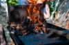 Как пожарить шашлык и не нарваться на штраф: подробности
