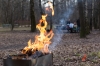Можно ли жарить в лесу шашлыки и что делать, если начался пожар