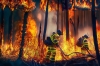 12 лесных пожаров ликвидировали в Иркутской области за сутки