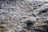В Томской области растет число затопленных домов