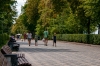 В Петербурге решили приватизировать 3 садово-парковых предприятия