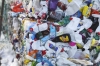 Новгородские ученые получили мегагрант в 500 млн рублей на исследование об опасности пластика