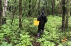 Гидролог Шишкин перечислил правила безопасного похода в лес
