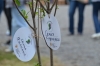 В Нижегородской области на акции «Сад памяти» высадят 300 тысяч деревьев
