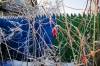 В Татарстане прогнозируются заморозки до −7 градусов