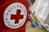 Чувашский «Красный крест» может стать банкротом из-за многомиллионного долга