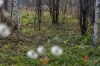 Синоптик о майском похолодании в Татарстане: «Можем побить рекорд»