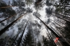 В Красноярском крае ликвидировали 29 лесных пожаров на площади 643 га
